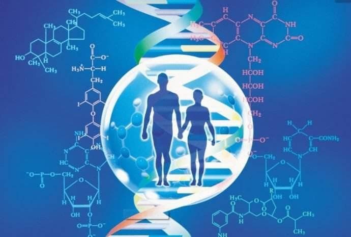 DNA检测：如何了解你的遗传信息与健康状况
