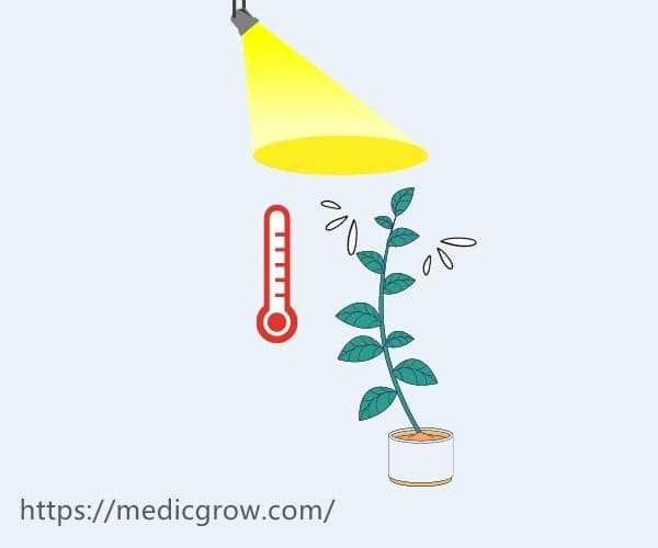 如何为您的种植室/帐篷选择合适的种植风扇