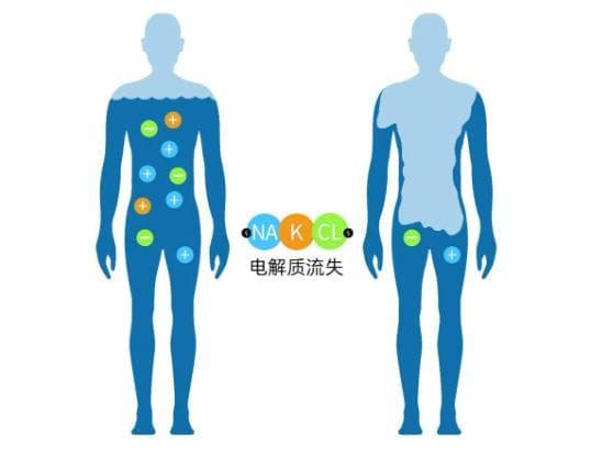 高温出汗，电解质这样补才对！