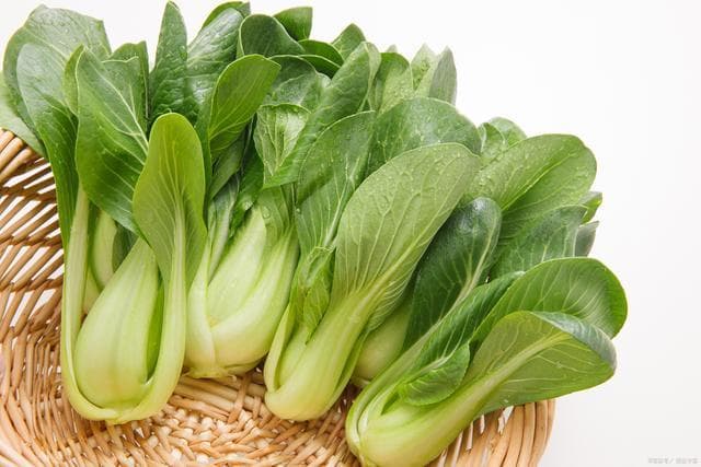 油菜苔和油菜的区别：一场绿色盛宴的双子星