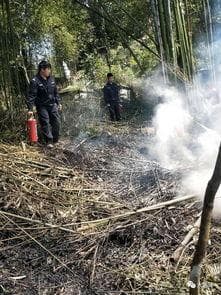 上坟引起火灾怎么处罚？10亩山林赔偿标准是多少？