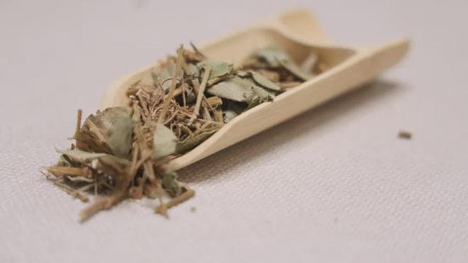 四味中药代茶饮，助你排出体内顽固结石