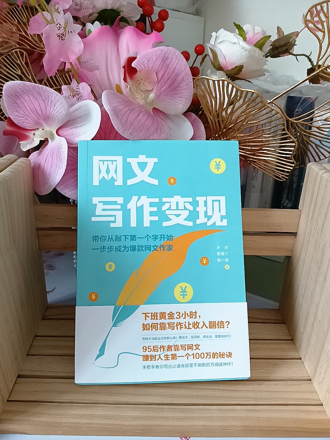 《网文写作变现》：一本实用的写文工具书