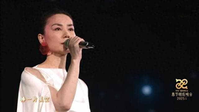第五次登上春晚舞台，王菲这首歌唱哭好多人