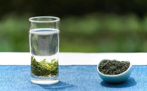肉桂茶是热性还是凉性？从药理到功效的全面解析