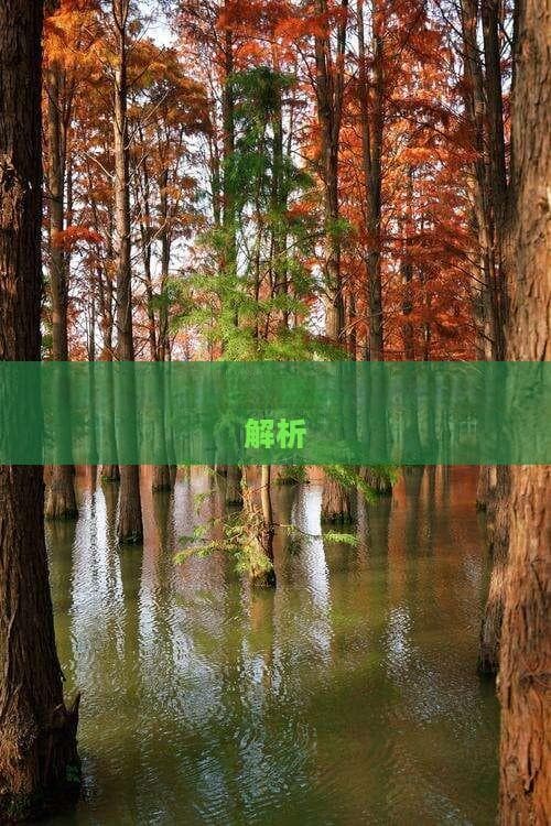 海南自然景观旅游景点全解析