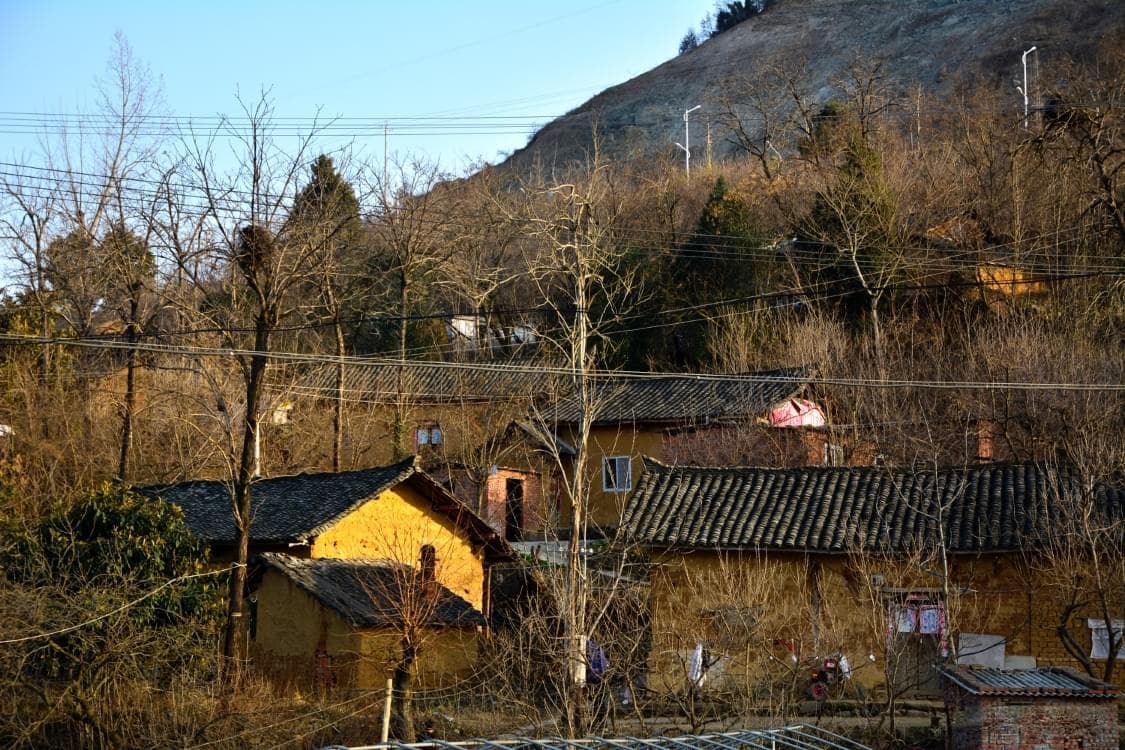 “籍贯”与“出生地”：您不知道的重要信息
