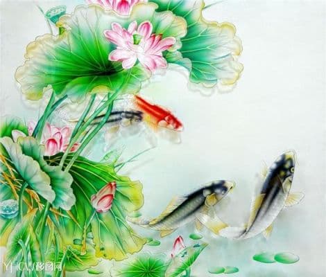 荷花与鱼的混养方法：从水温控制到日常管理的全方位指南