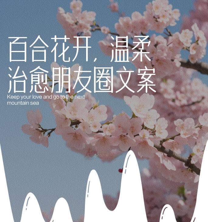 送百合花给朋友有何含义？