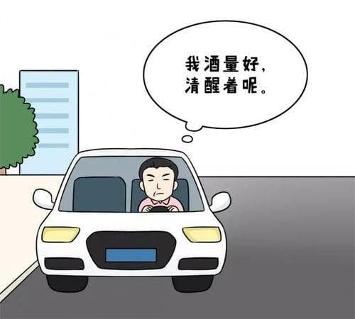 酒驾醉驾危害大，切勿心存侥幸！【荷交警小课堂】