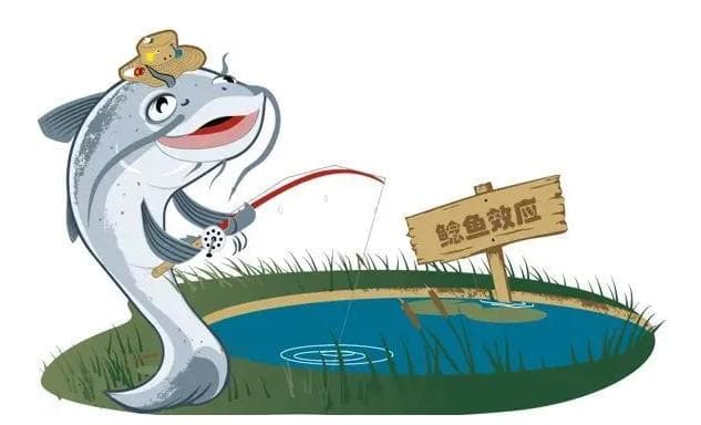 [职场] 鲶鱼效应是什么意思 鲶鱼效应在企业管理中有什么作用
