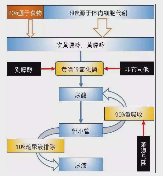 痛风常用药非布司他、别嘌醇、苯溴马隆区别，三种降尿酸药物一定要用对！