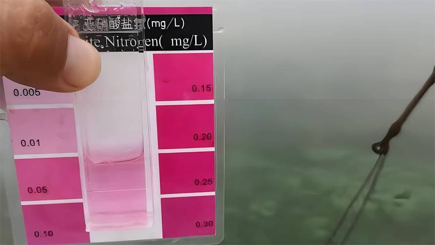 亚硝酸盐摄入多少克会导致死亡？