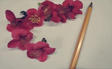 企业常年法律顾问服务内容及作用是什么