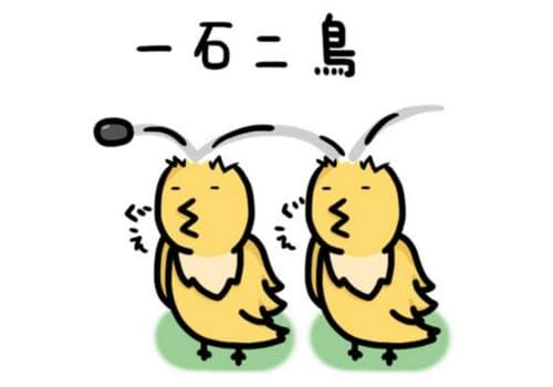 一石二鸟是什么意思？详解一石二鸟的典故、用法及现代案例！