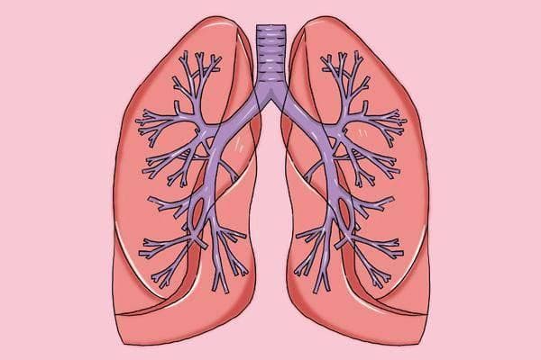各类气胸患者的紧急处置措施与护理要点
