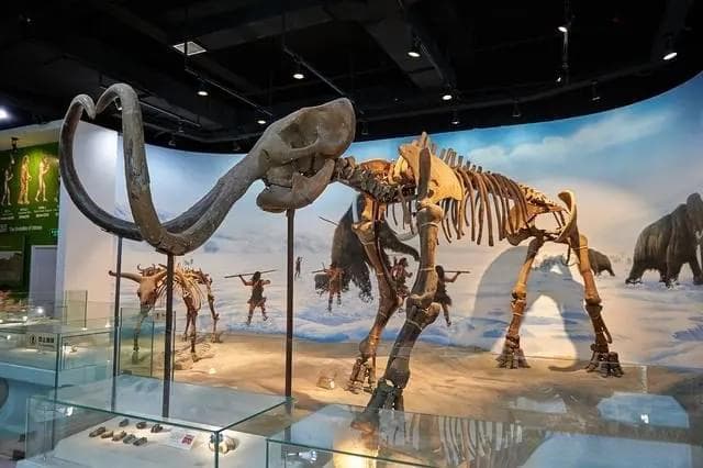 自贡恐龙博物馆秋季展览亮点：新化石、互动体验与科研成果