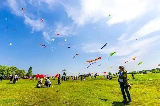 你真的会放风筝吗？警惕这些放风筝的“雷区”
