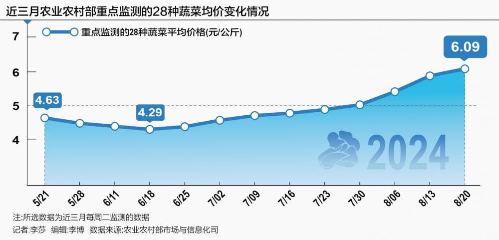 高温多雨菜价大幅攀升 秋季菜价或回归常态