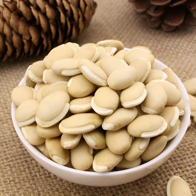 白扁豆的主要介绍