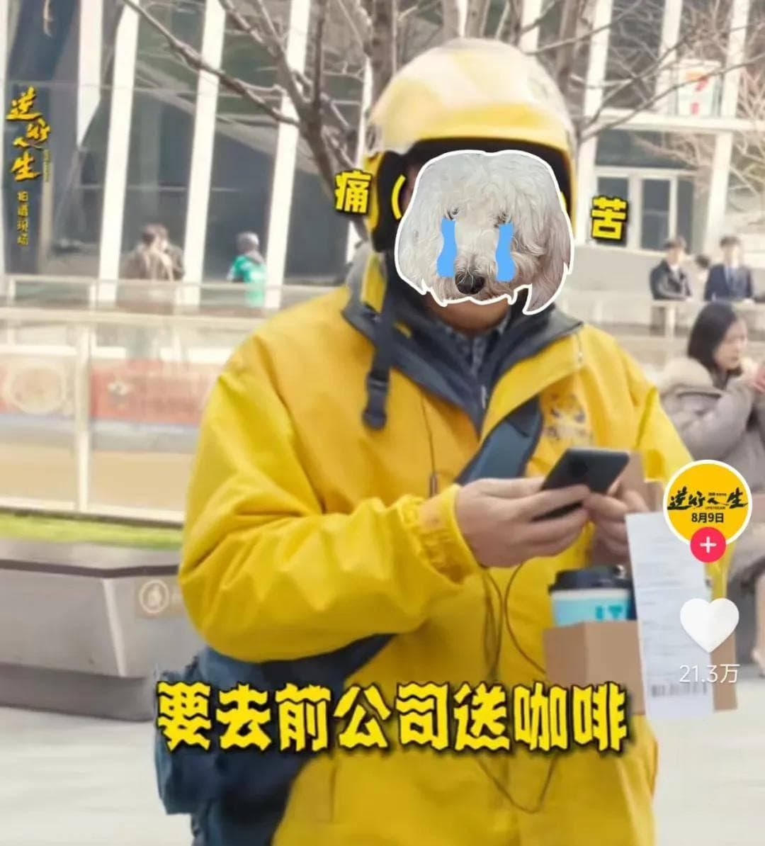 《逆行人生》票房破2亿，就业内卷下，高学历拼不过高技能？