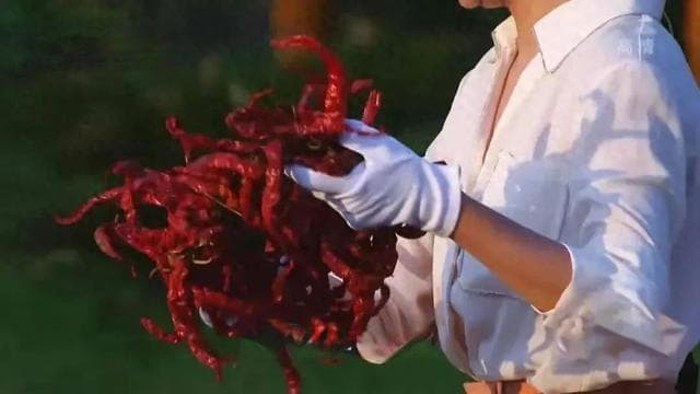医生眼中的“辛辣”食物可能和你想的不一样！很多人都忌错了~