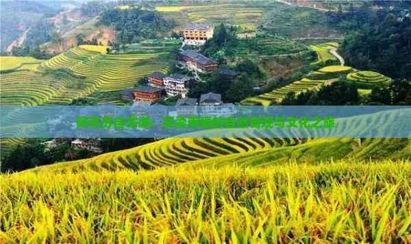 阿克苏自驾游：探索南疆的自然奇观与文化之旅