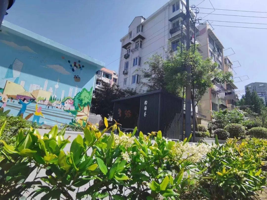 居民全程参与，让这个小区升级成了“小花园”！