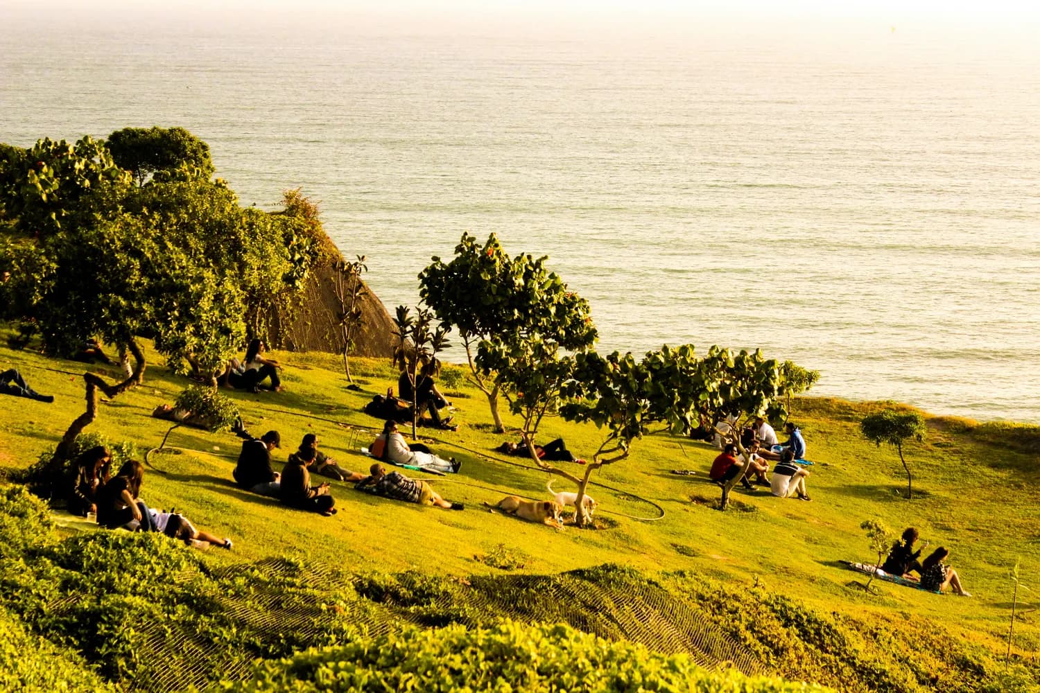深圳湾公园：海风相伴的四大活动，打造夏日清凉休闲胜地