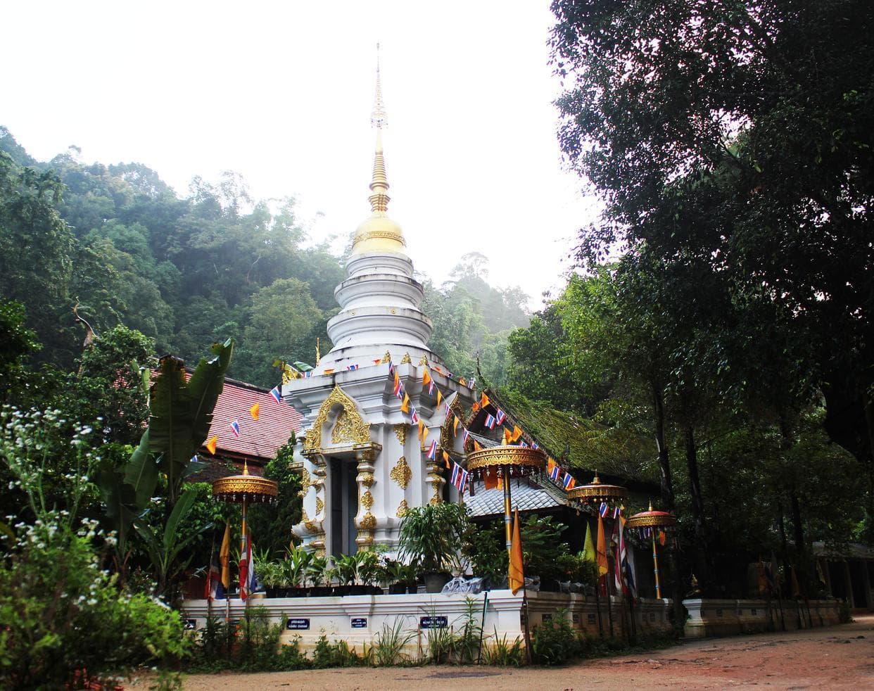西双版纳热带植物园：融汇科研与旅游的“植物王国”