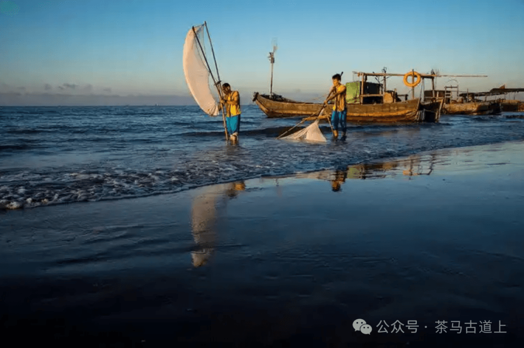 京族故里：广西东兴市的海洋民族传奇