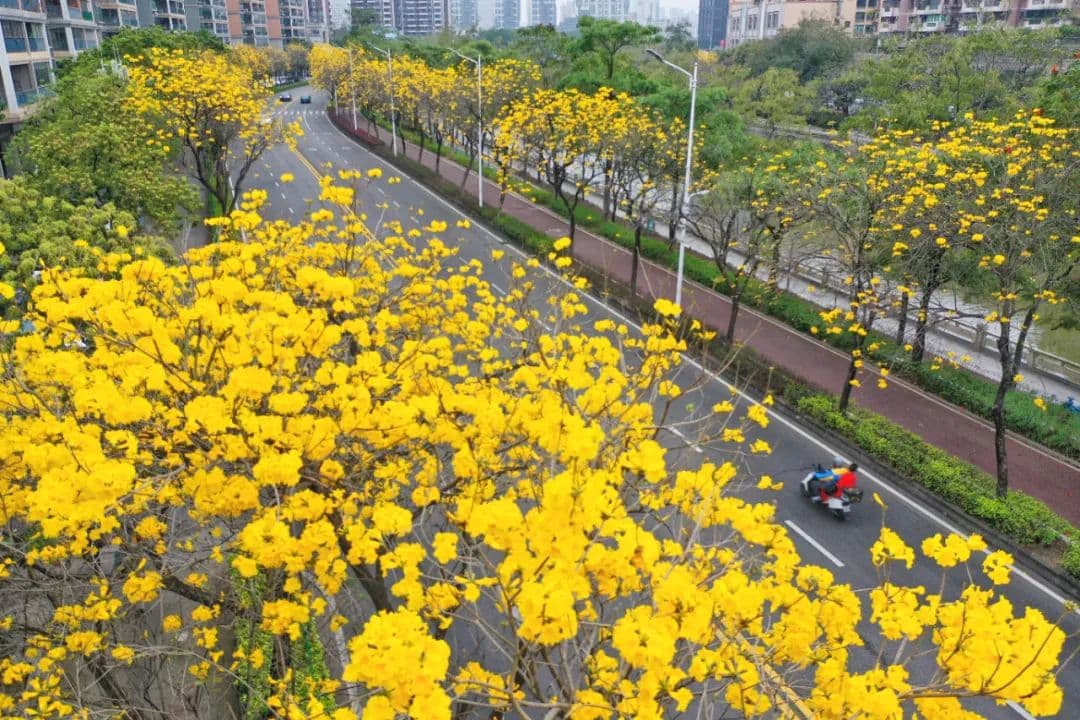 最高气温重回“2字头”！广东今明或现回南天，雷雨+冷空气排队上线！
