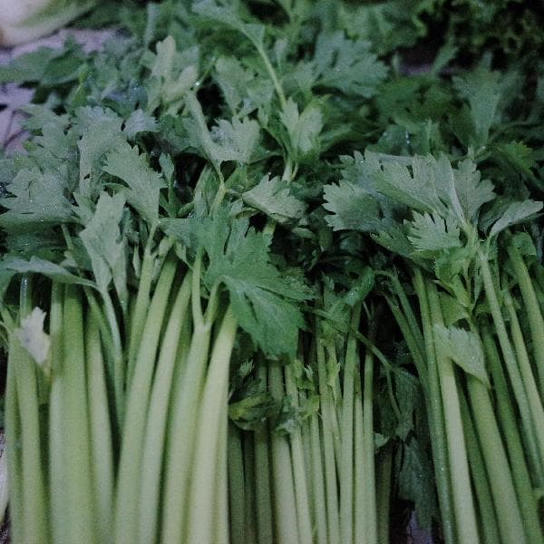 大芹菜和小芹菜的营养价值