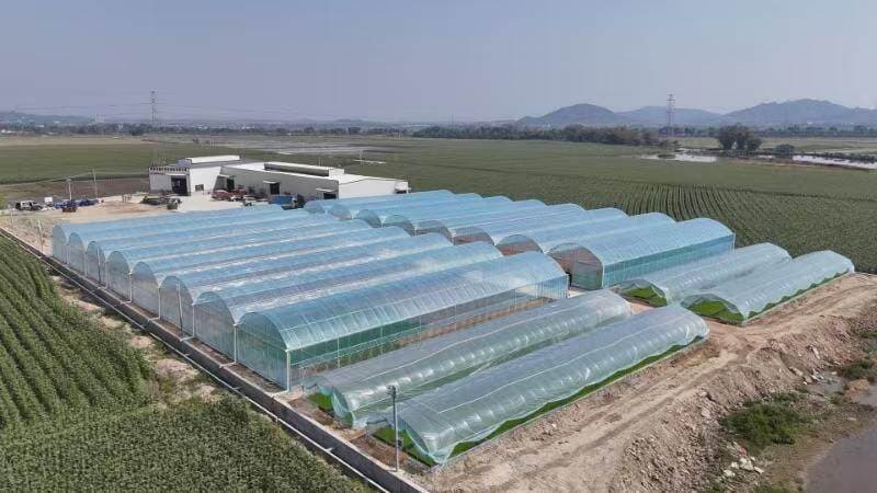 东莞清溪驻揭西棉湖工作队：“金融+基建”双轮驱动，赋能农业现代化