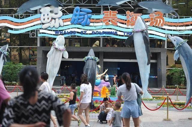 香港海洋公园动感天地，入冬4日游攻略：畅享刺激与欢乐的海洋