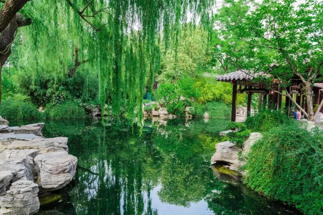济南十大免费景点：泉水名胜与人文古迹全攻略