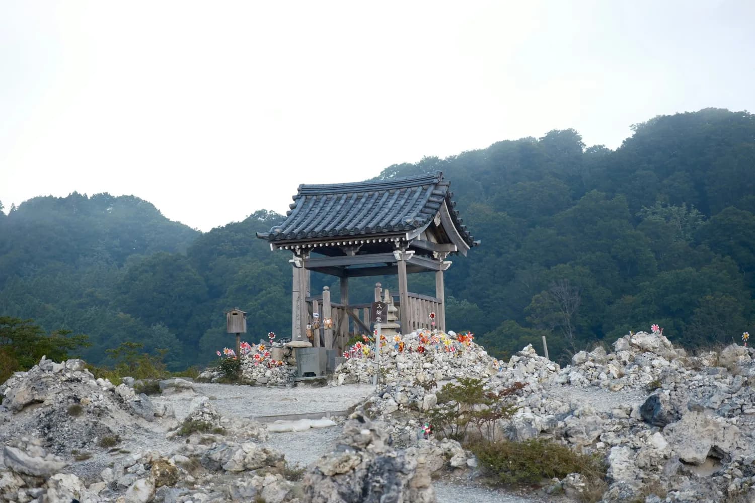 从公主到战士：阴阳师铃鹿御前的传奇人生
