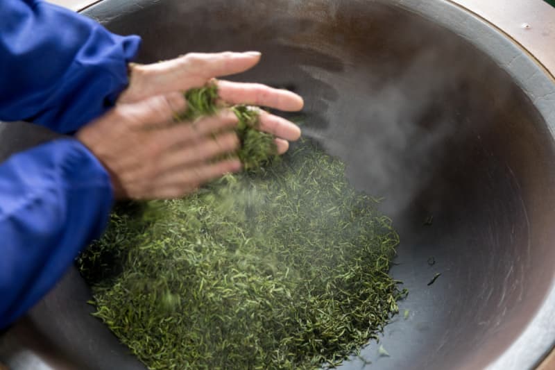 鸭屎茶是什么茶？探究中国古老奇特饮品