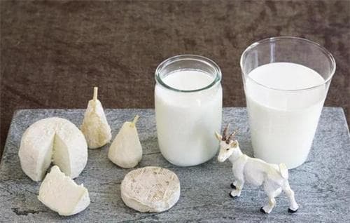 羊乳的功效与作用：营养价值与健康益处