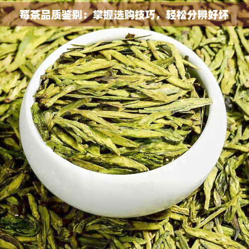 莓茶好坏怎么区分？8个实用选购技巧助你挑选优质莓茶