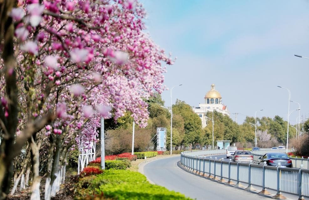 阳澄湖畔藏着特色湿地乡村，清水村消泾村入选国际湿地城市特色乡村