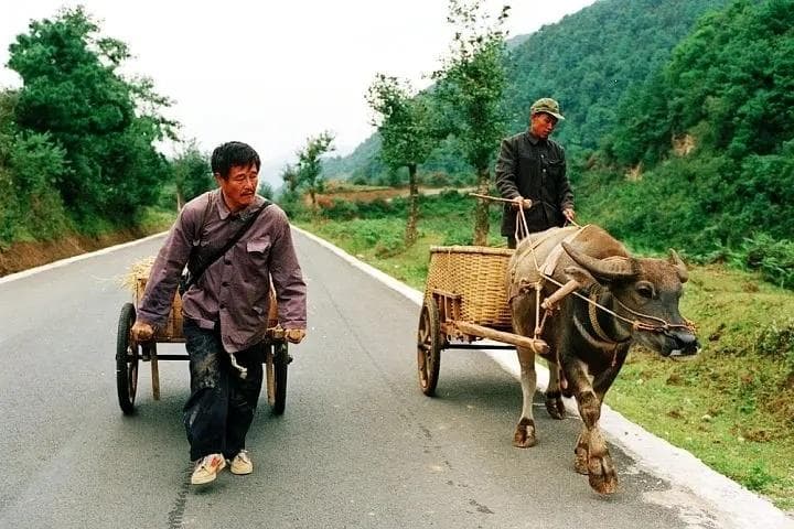 五部经典的高分喜剧片，部部让人捧腹大笑，一部没看太遗憾！