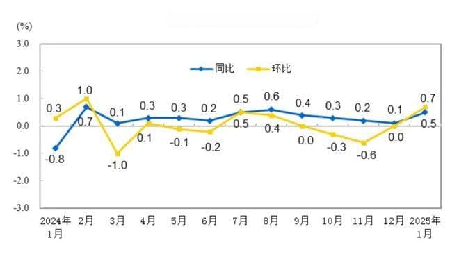 国家统计局最新公布：2025年1月CPI同比上涨0.5%，PPI同比下降2.3%