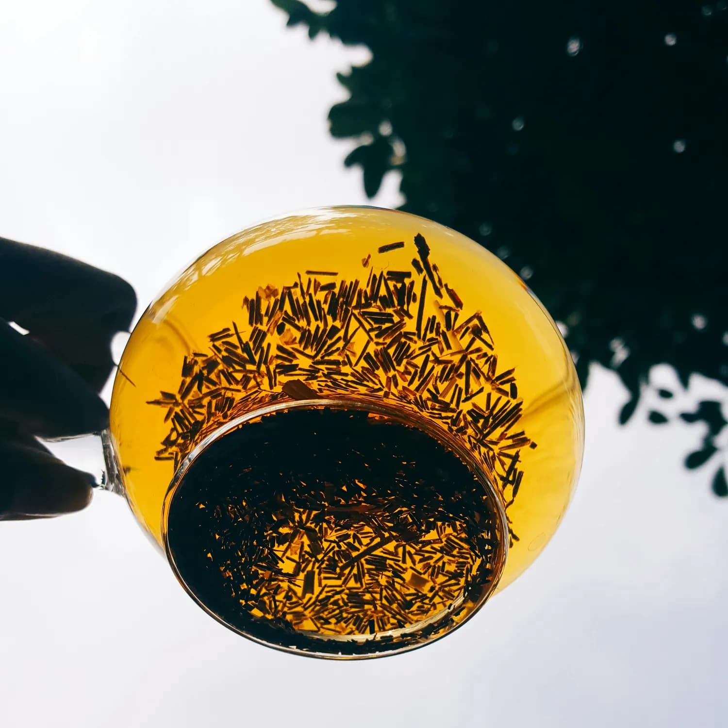 中秋必备：桂花酒的文化传承