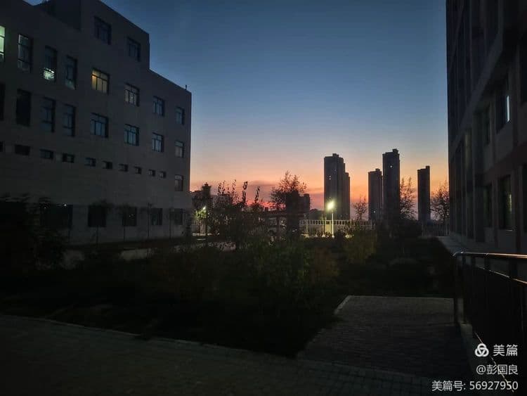 中医的四大流派：古今对比与现代发展