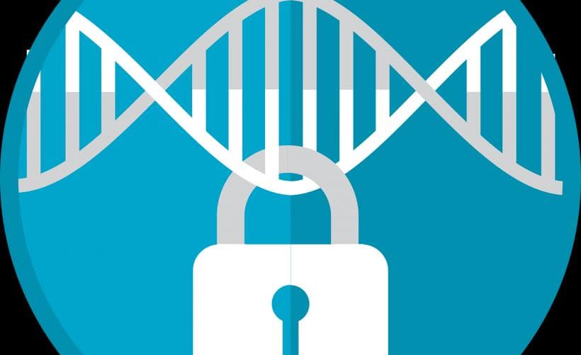 Windows 10子网前缀长度设置详解：从基础到实践