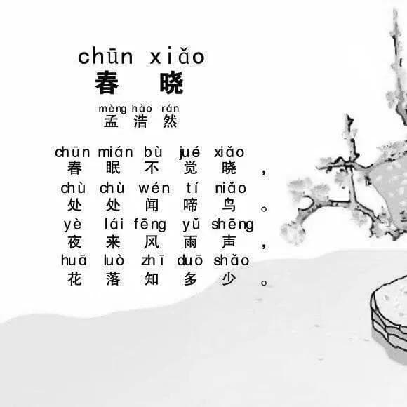 春晓古诗：唤醒生命的诗意盎然