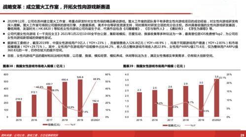 深度解析，肯尼亚大选中的民主进程与挑战——一次非洲选举的独特观察