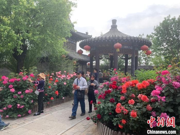 山东深挖“春日经济”潜力 农文旅融合激活消费新动能