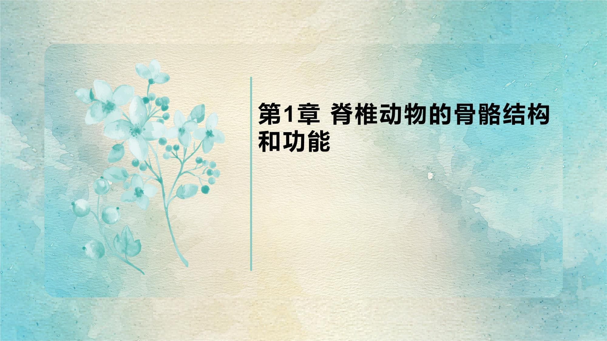 脊椎动物的骨骼结构和功能